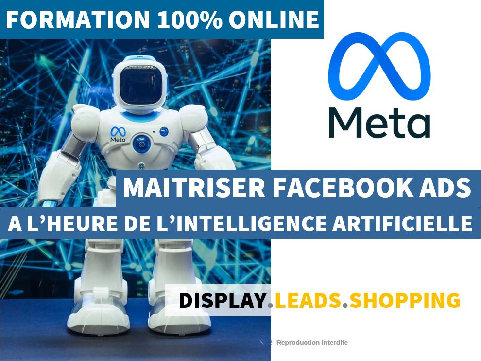 Formation Facebook Ads
