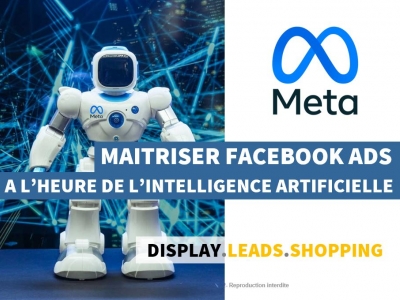 Maitriser le Marketing digital et le Webmarketing