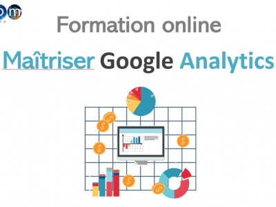 Maîtriser Google Analytics